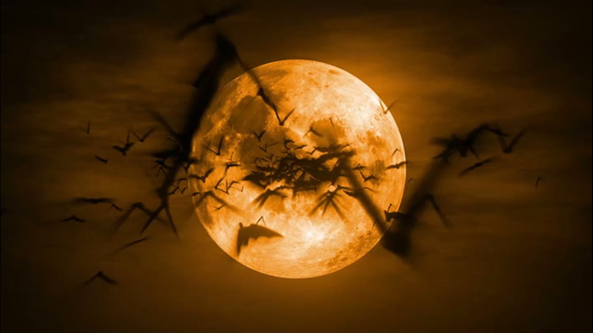 Rare full moon to make this Halloween extra spooky