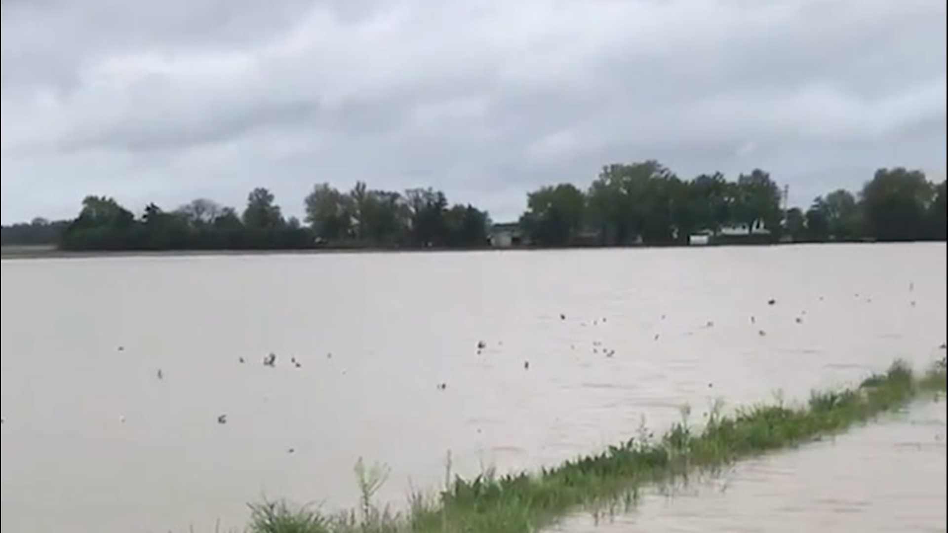 Heavy rain caused farm fields to flood, including this one north of Bowling Green, Ohio, on May 19.