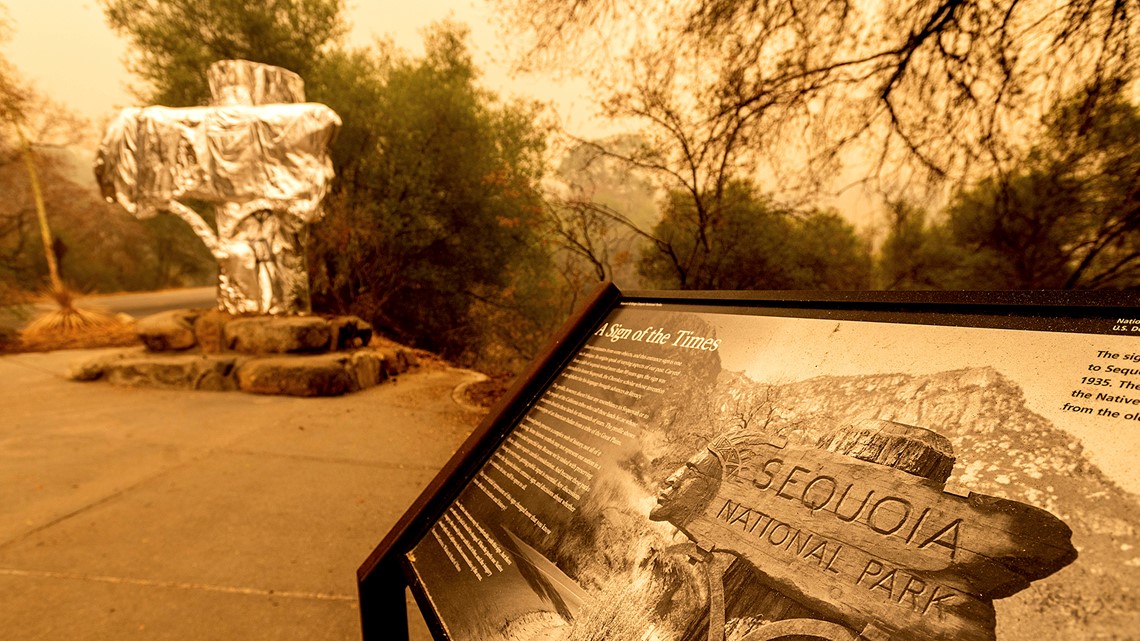 General Sherman Tree wrapped in fire-resistant blanket - Vimarsana News