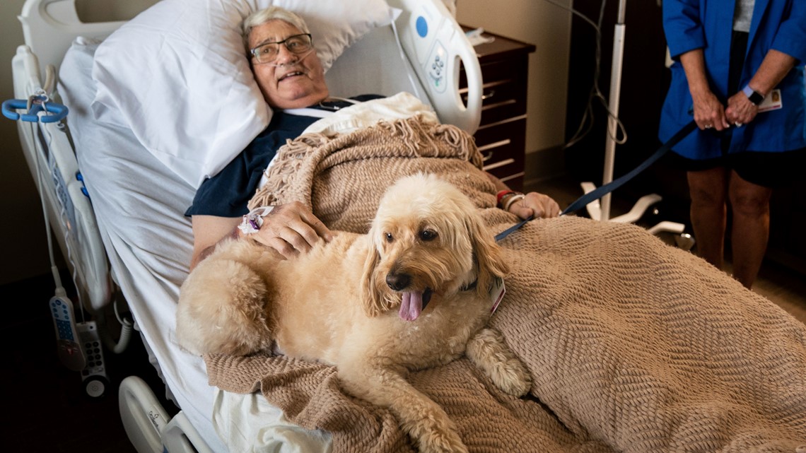Therapy dogs help cheer up patients, staff in Nashville Hospital