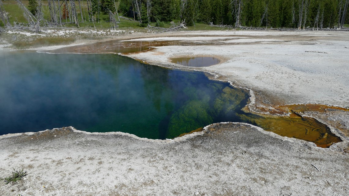 Yellowstone: Foot found in hot spring linked to July death - Vimarsana News