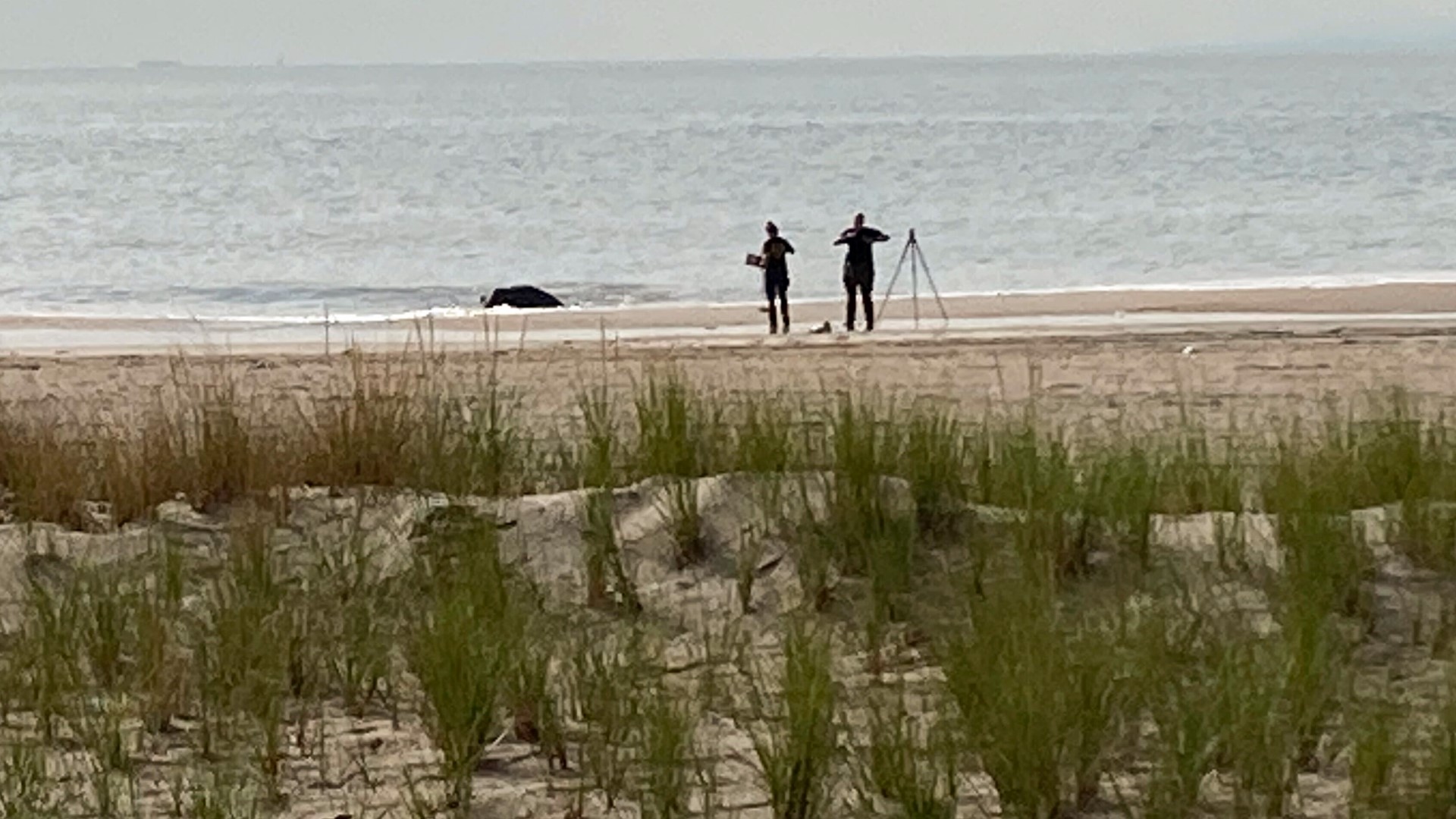 Brooklyn woman sentenced for drowning her 3 kids on Coney Island beach ...