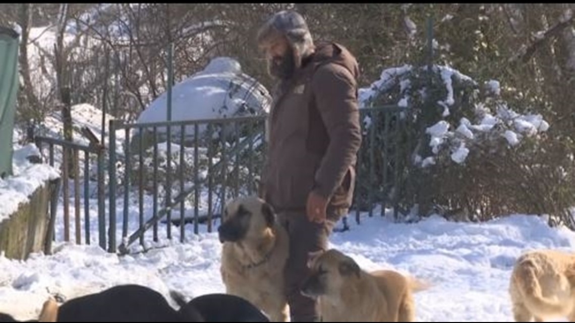 Man lives in forest to feed, care for hundreds of stray dogs