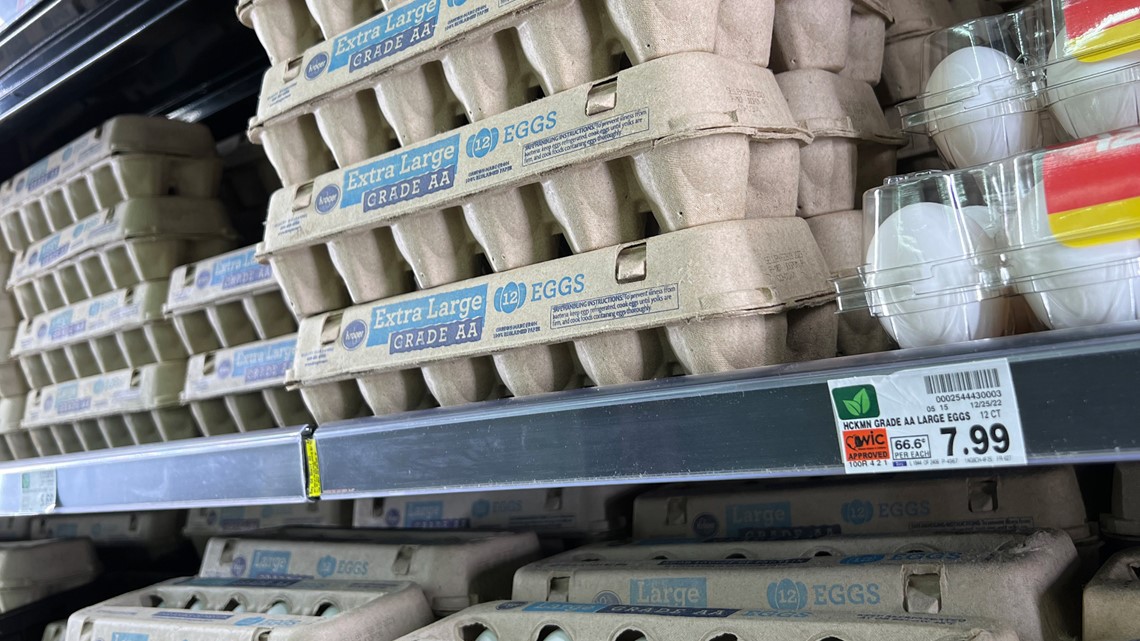 No, chicken feed products aren't behind an egg shortage - Vimarsana News