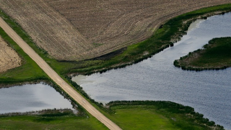 Supreme Court rules against EPA in wetlands regulation case