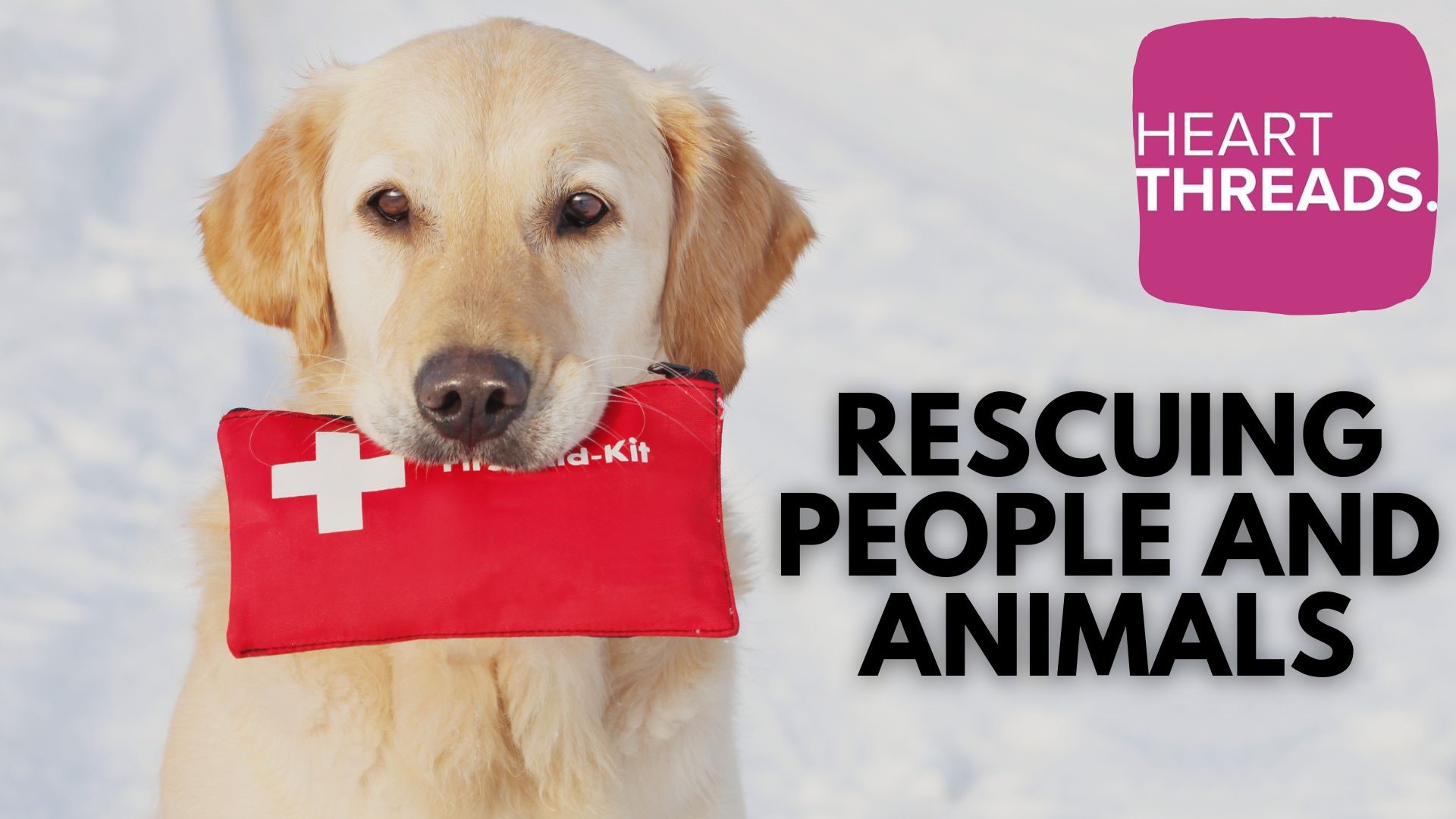 Heartwarming stories detailing life-saving rescues, not only for humans, but for pets and animals as well.