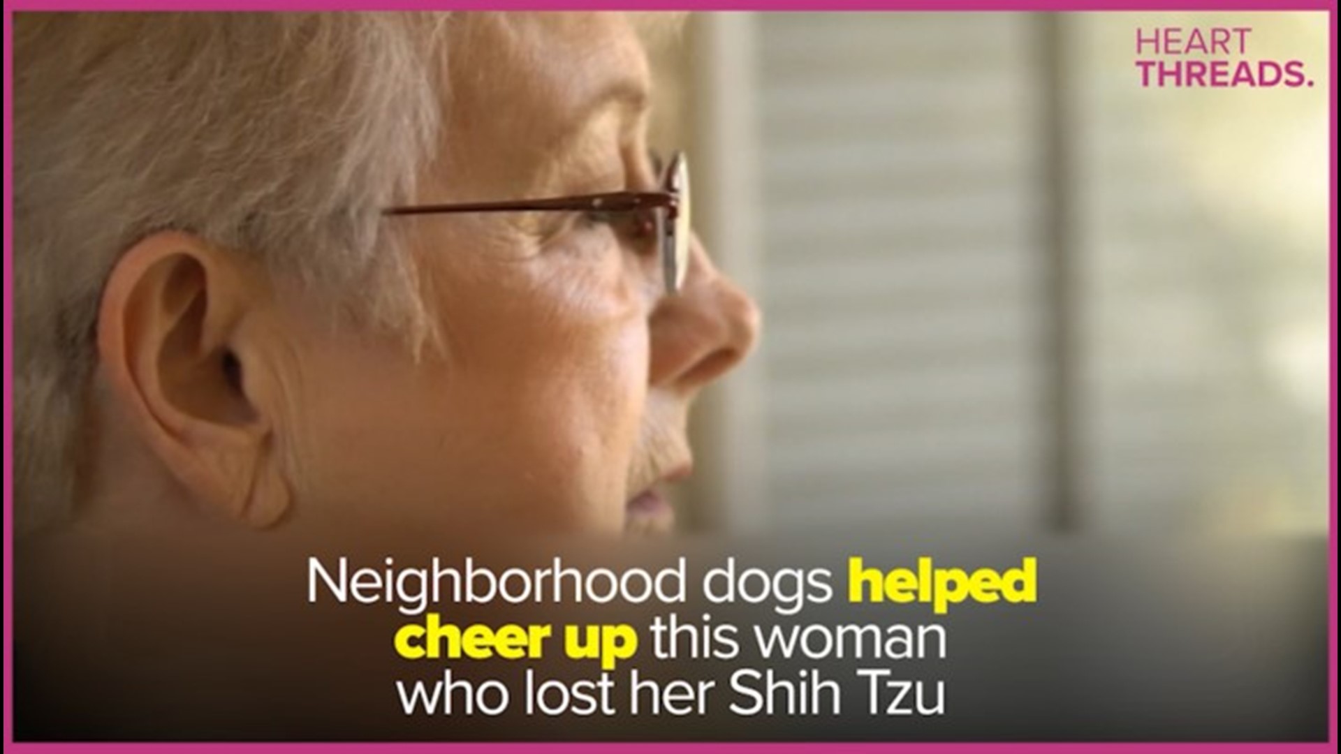 A collection of heartwarming stories of the love people have for their pets, and how our furry friends continue to offer support and unconditional love to families.
