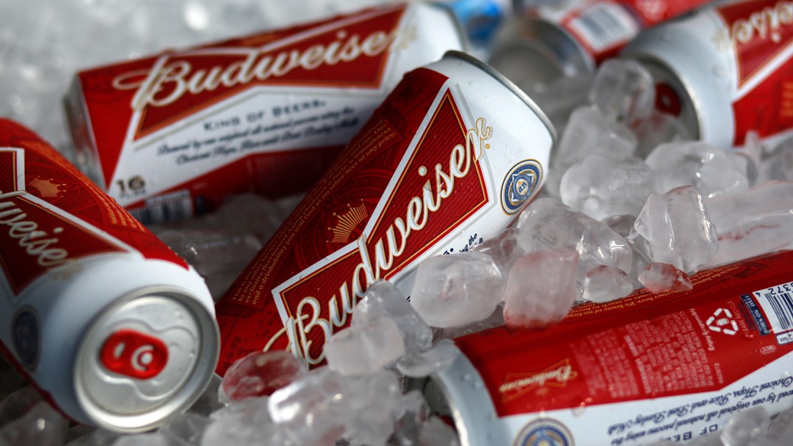 Qatar bans beer at World Cup two days before tournament starts - Vimarsana News