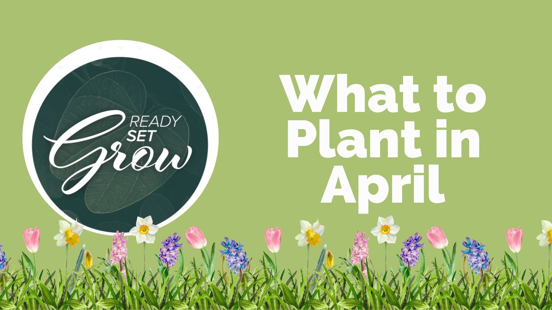 April may seem too early to get into the garden, but there are certain flowers and crops that should be planted now. What to tackle on your to-do list and more.