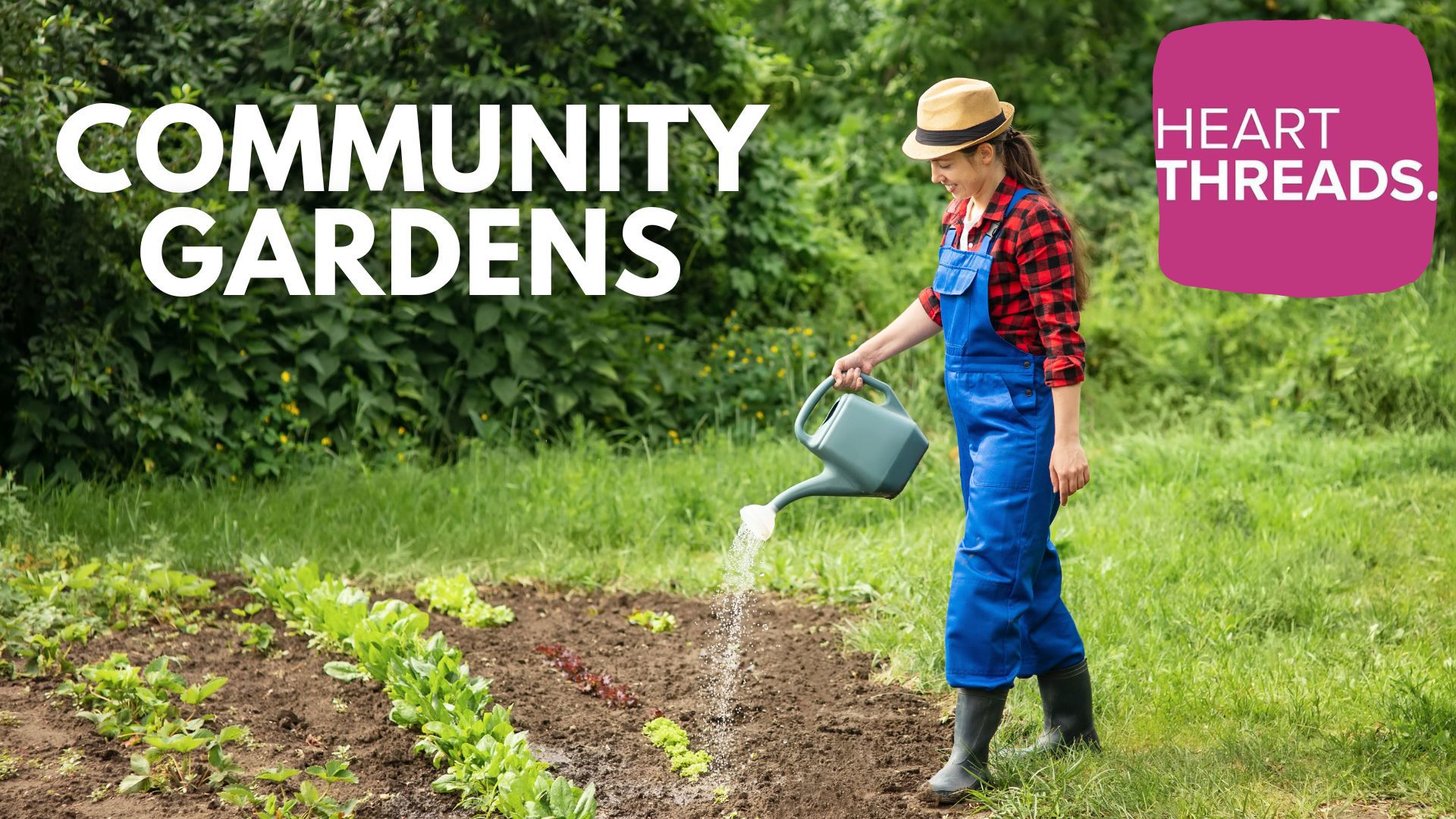 Heartwarming stories of communities coming together to help others through growing fruits and vegetables. A look at community gardens bringing people together.