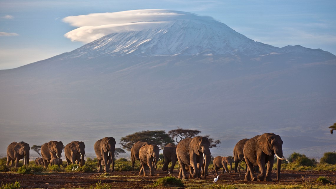 Africa's rare glaciers are soon to disappear - Vimarsana News