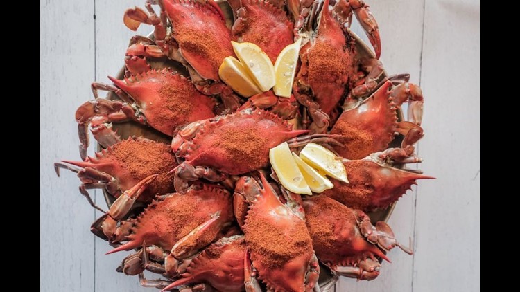 st. louis new restaurants 2019 seafood Bevo Mill South lobster | 0