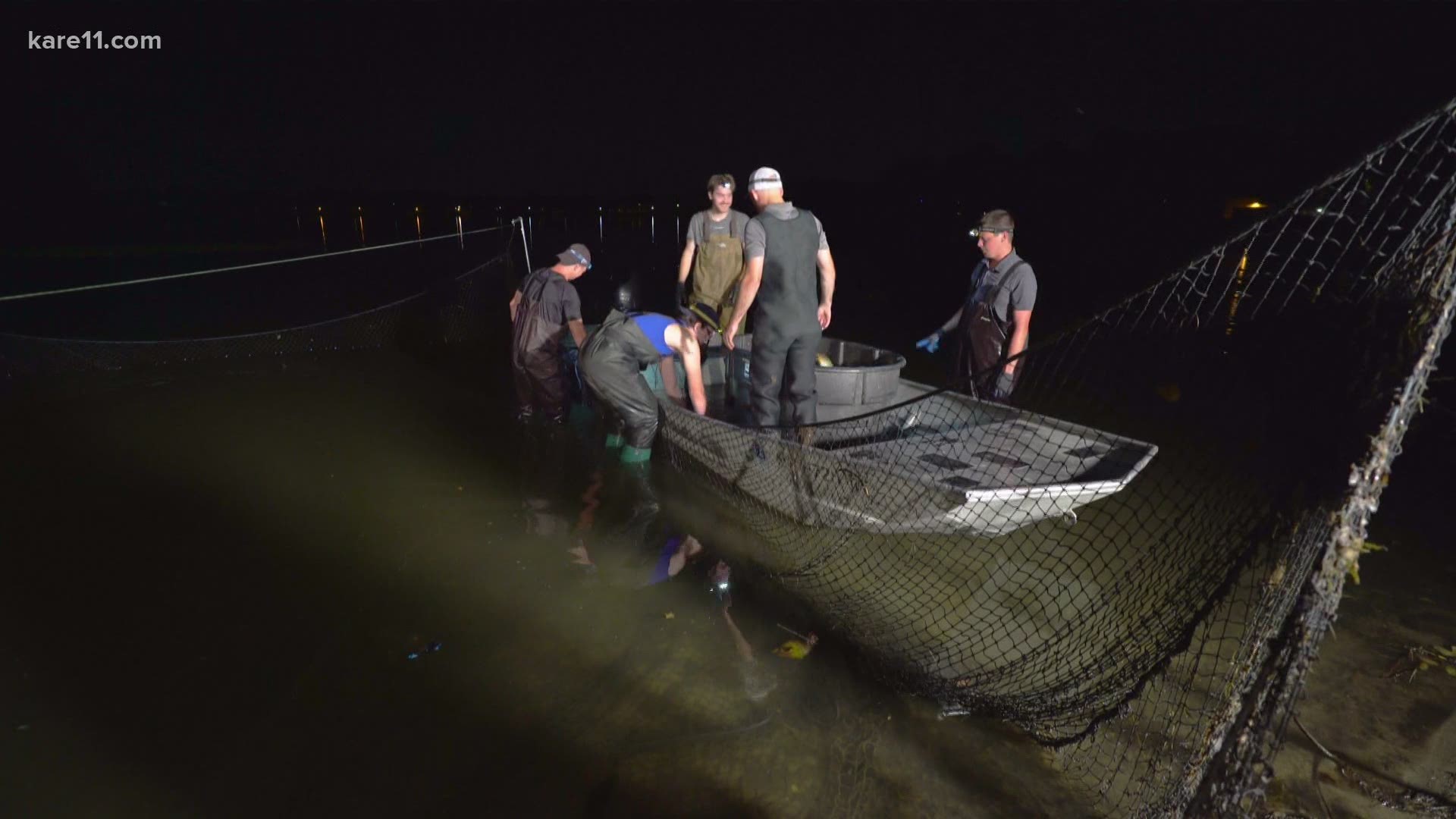 Crystal Lake has an estimated population of around 10,000 common carp. The goal is to get it down to around 2,000