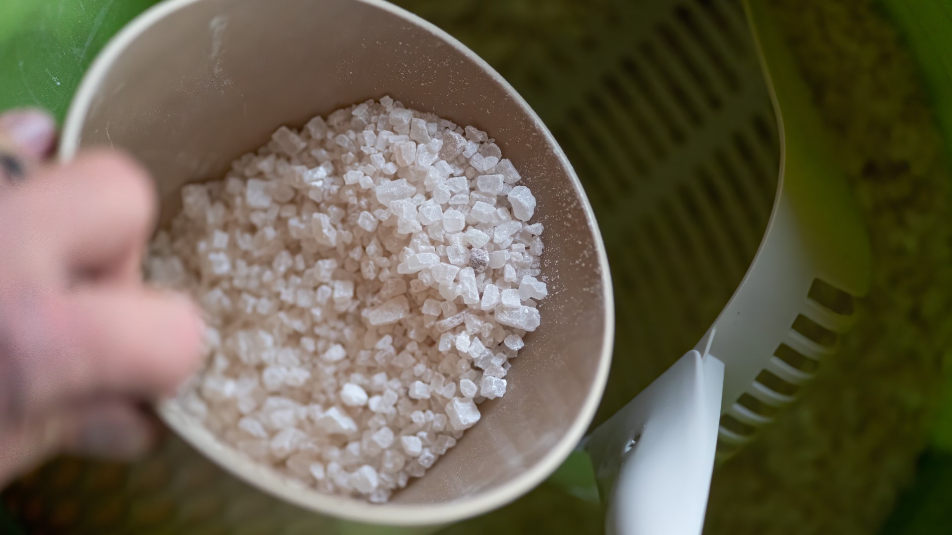 Ice melter salts can damage, kill plants and trees, MDC says