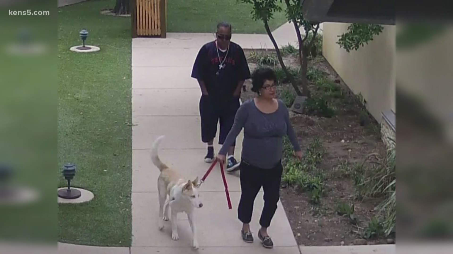 The San Antonio Humane Society is asking for the public's help after a 9-month-old puppy was taken from their shelter on Saturday afternoon.