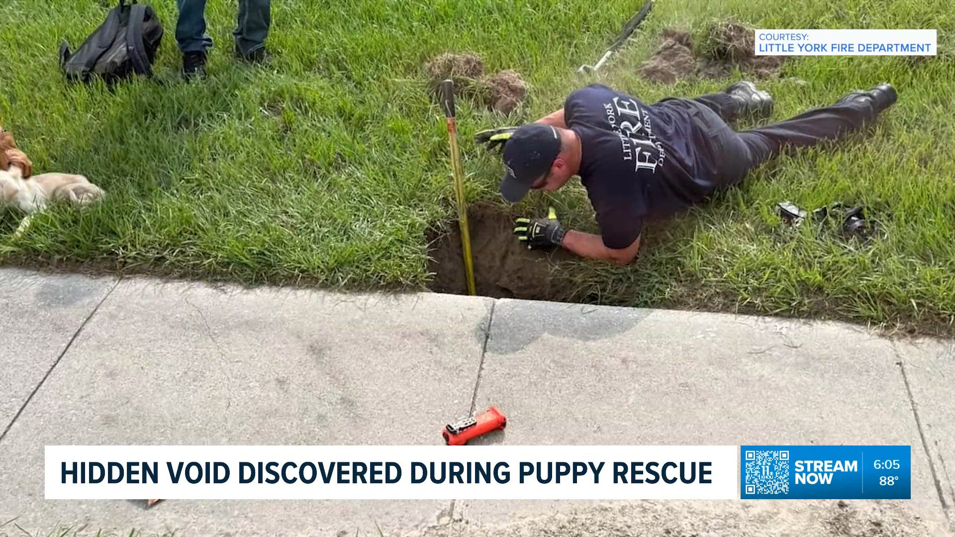 Puppies found trapped in cavern-like space beneath Harris County