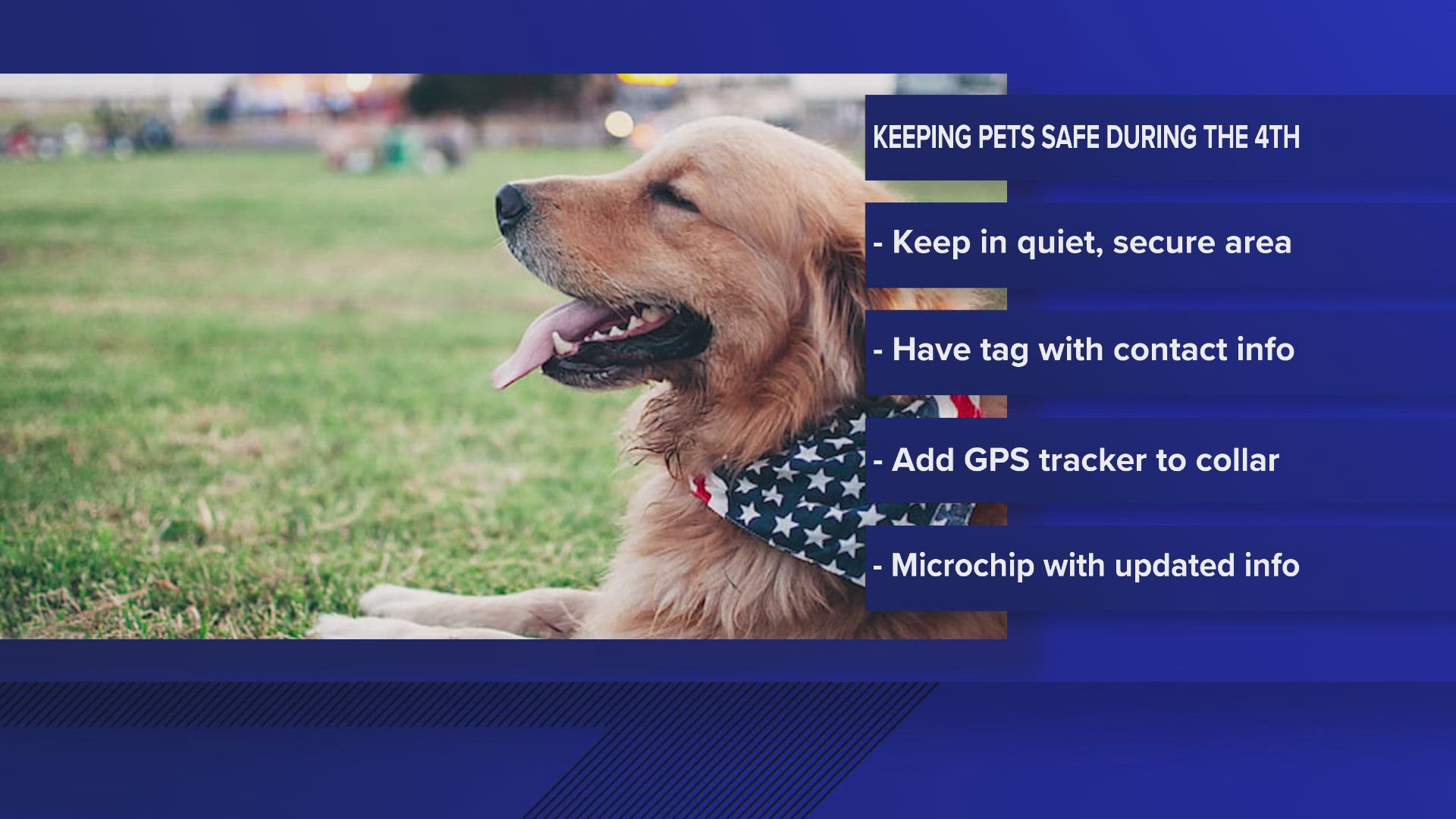 newsletter title related to fourth of july