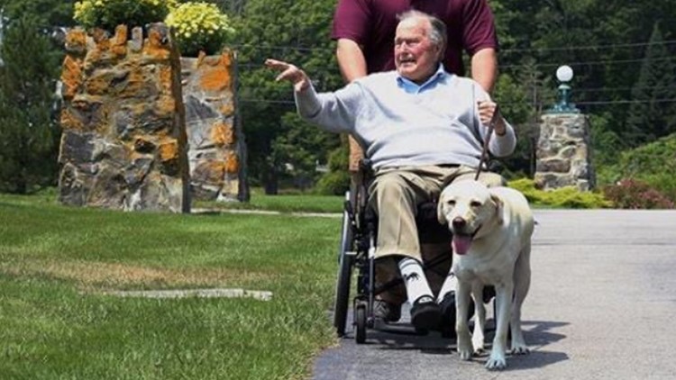What's next for George H.W. Bush's dog Sully?
