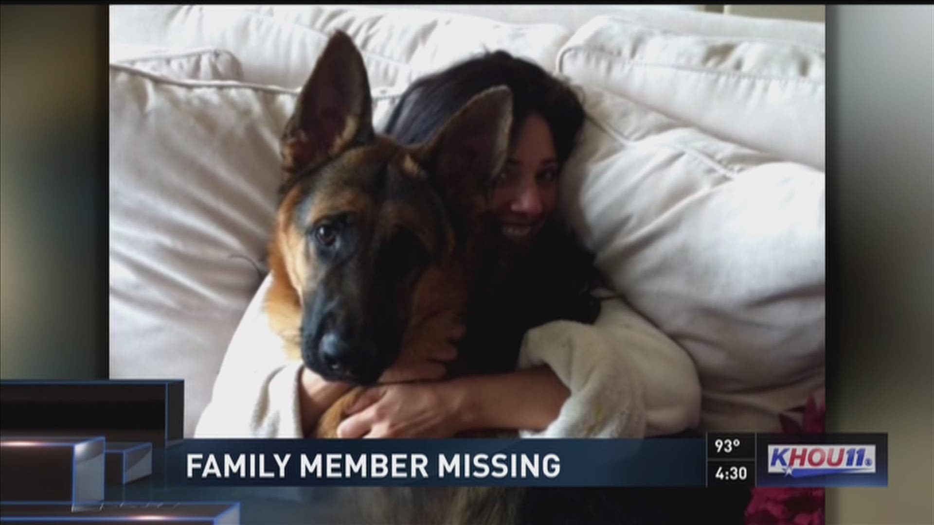 A Houston family is heartbroken after leaving their precious German Shepherd at a local boarding facility. City Canine said Luxe got out, but the family believes he is dead.