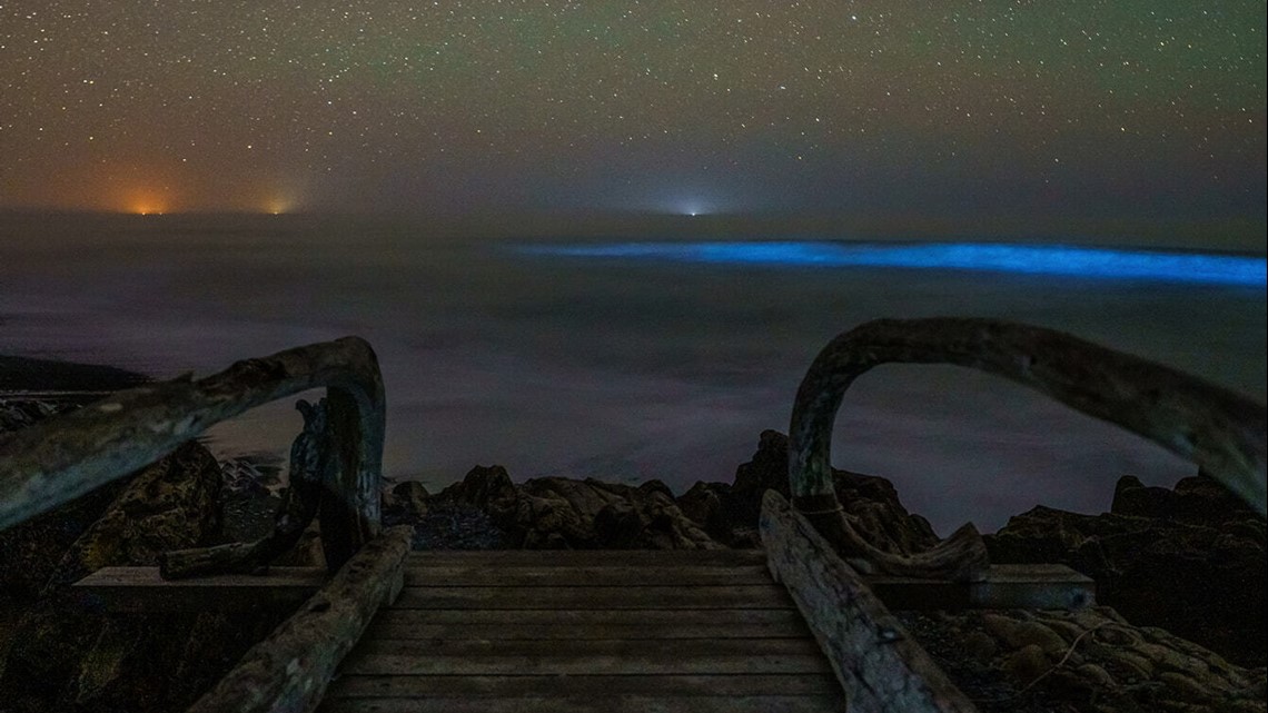 Waters off Washington coast glow blue with bioluminescence