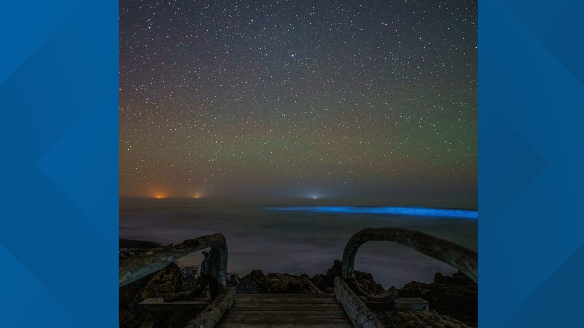 Waters off Washington coast glow blue with bioluminescence
