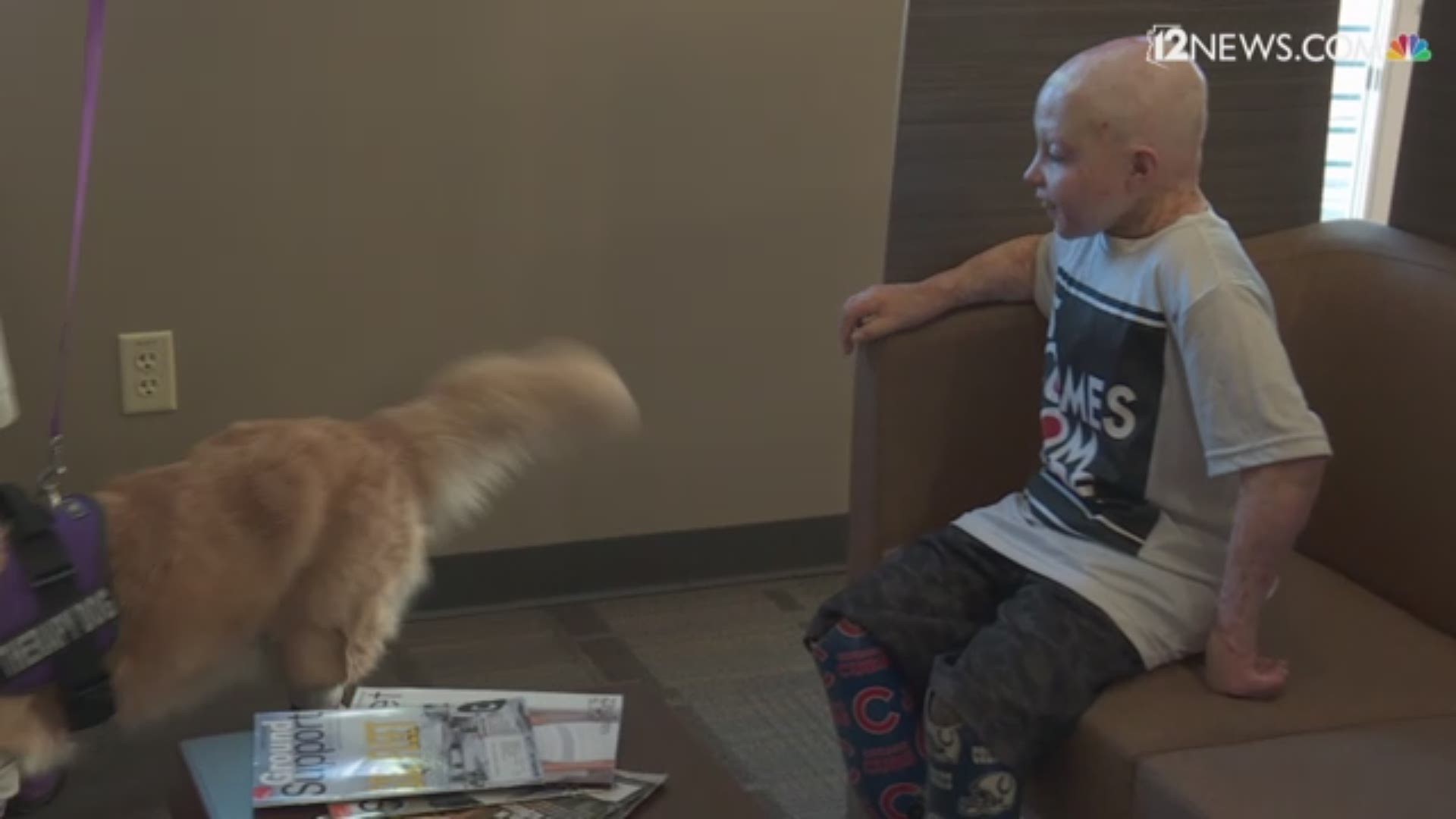 Owen Mahan and his family traveled hundreds of miles to meet prosthetic golden retriever therapy dog Chi Chi.