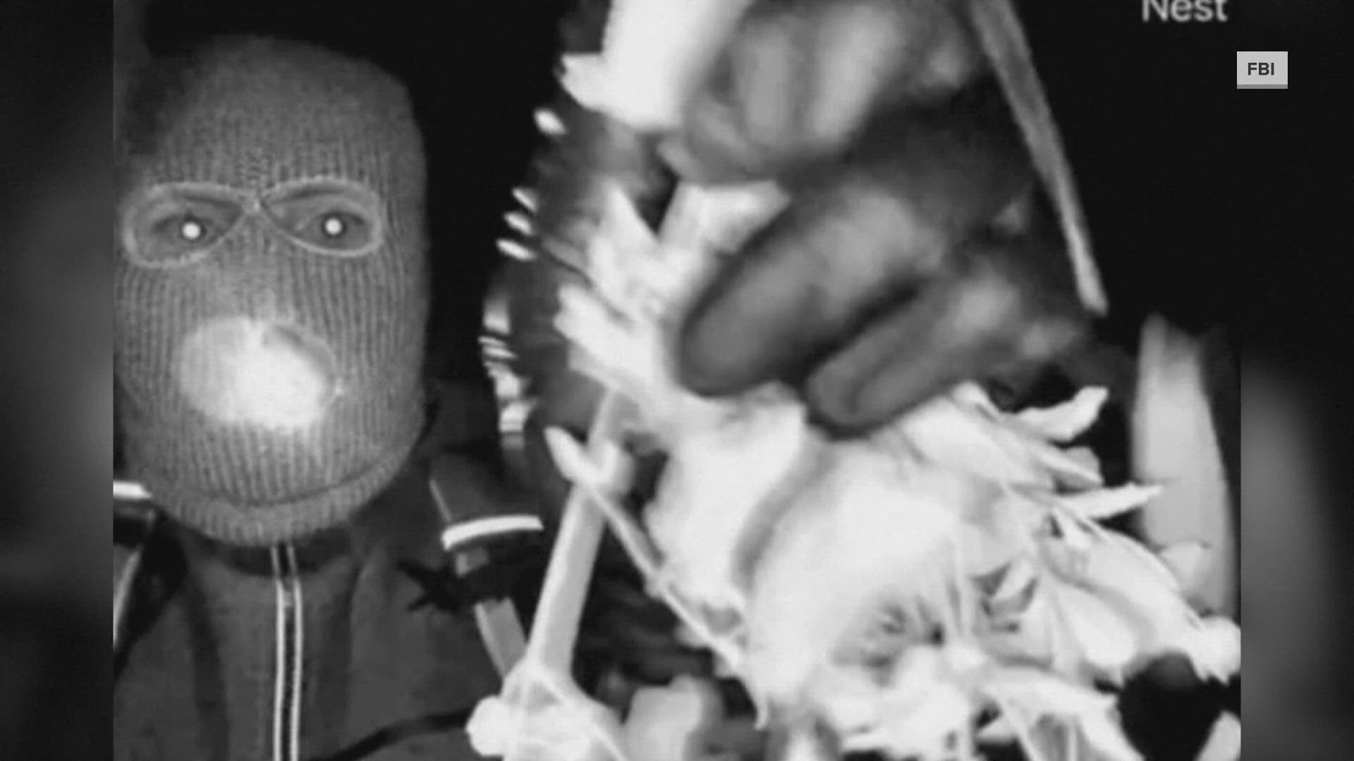 Savannah Guthrie visits 'TODAY' studio for first time since mother's ...