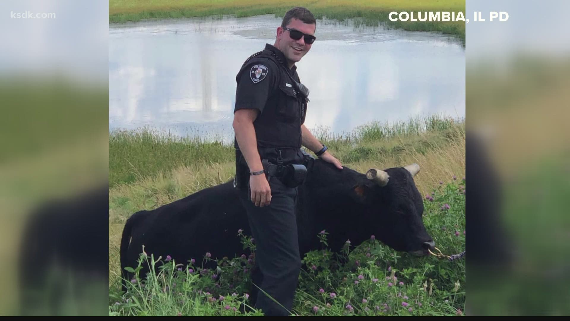 Drivers in Columbia had an unexpected guest on the road for their commute Wednesday afternoon