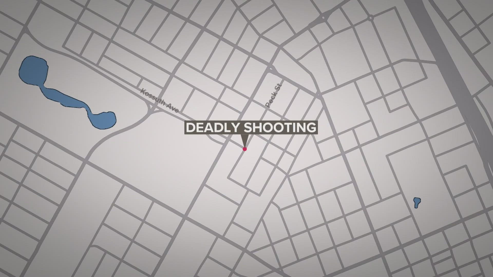 The shooting happened around 10 p.m. at Kossuth Street and Peck Avenue, about a football field away from Fairgrounds Park. Homicide detectives are investigating.