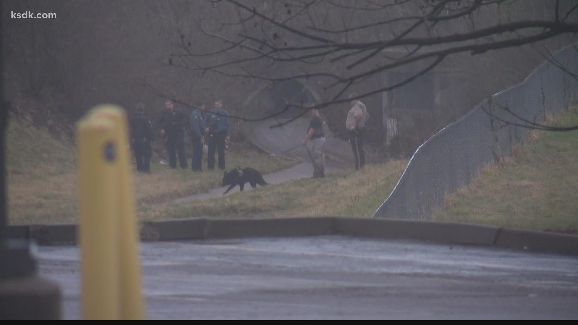 2 on the run after burglary pursuit ends in crash in Jefferson County ...