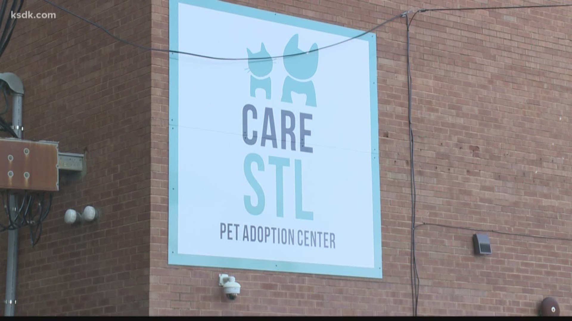 CARE STL will run the Animal Care Center located at 2801 Clark Avenue.