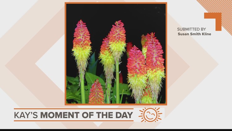 Kay's Moment of the Day for June 14