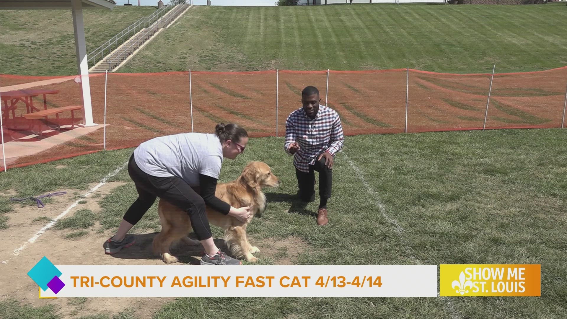 Fast CAT is the perfect intro into dog sports and a 100 meter dash for dogs.