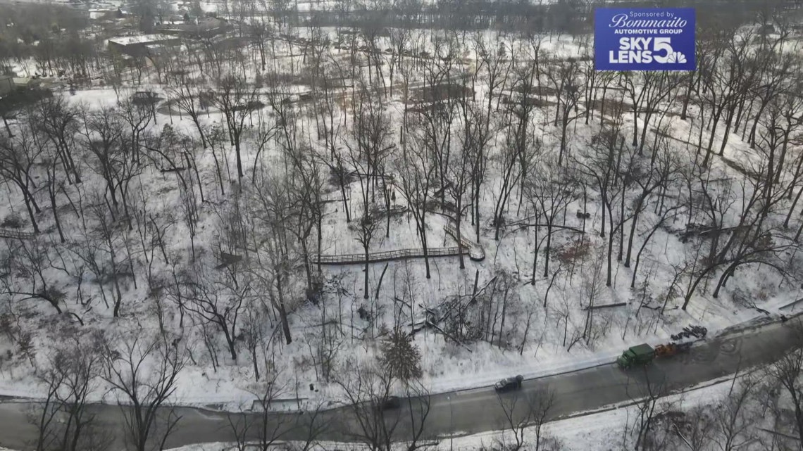 Forest Park begins replanting 6,000 trees for future resilience