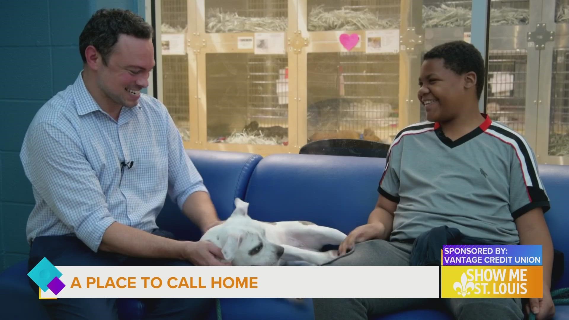 In Today's A Place to Call Home, 12-year-old Denzel and Anthony Slaughter spend the day playing with some four legged friends.