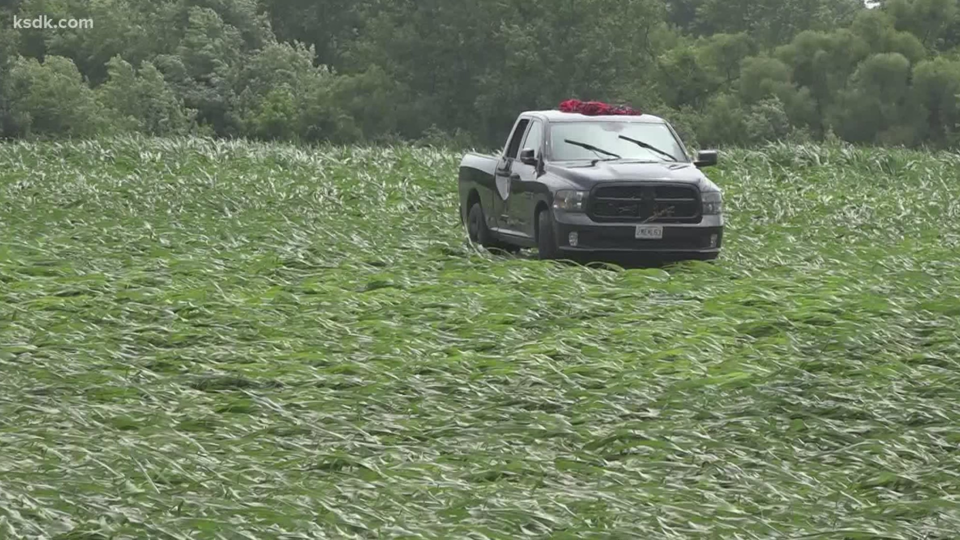 Rushing waters lift and carry pickup into middle of corn field; driver stayed in cab, is OK