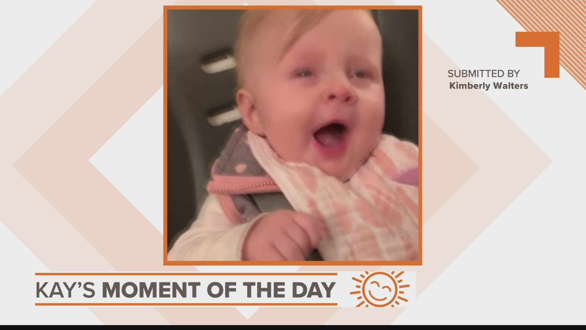 Babies and animals took over Kay's moment of the day on Tuesday.