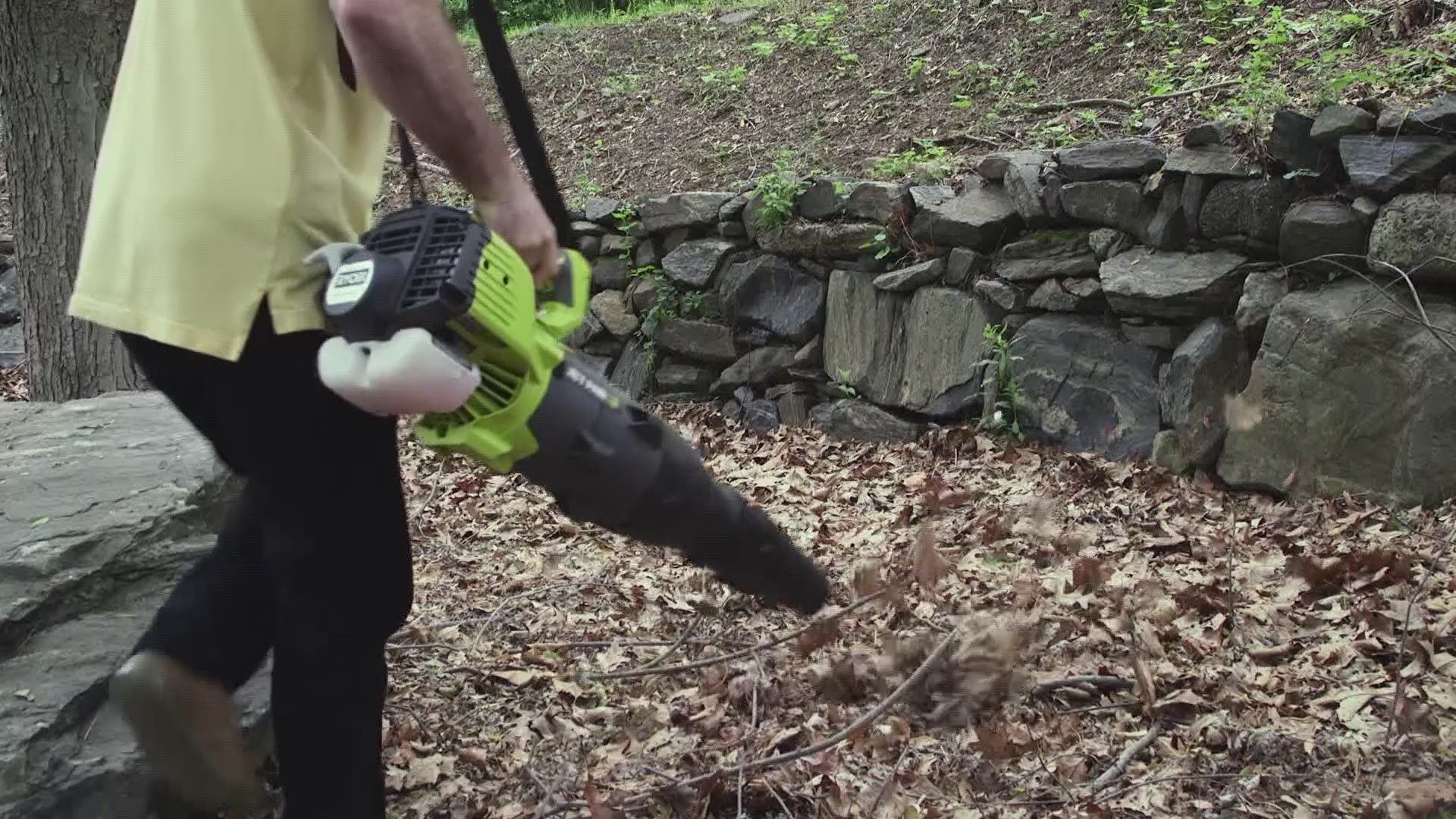 Consumer Reports reveals the top tools that are great for your yard and the planet.