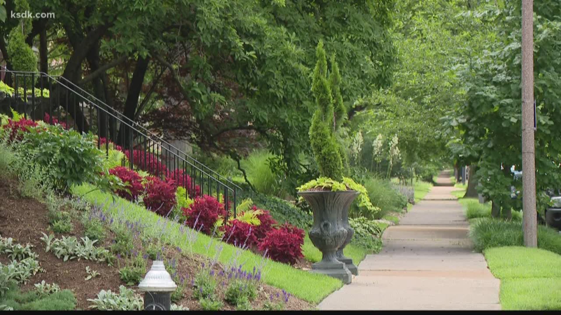 The attempted hold up happened overnight near Lewis Reed's home on Russell Boulevard in South St. Louis.