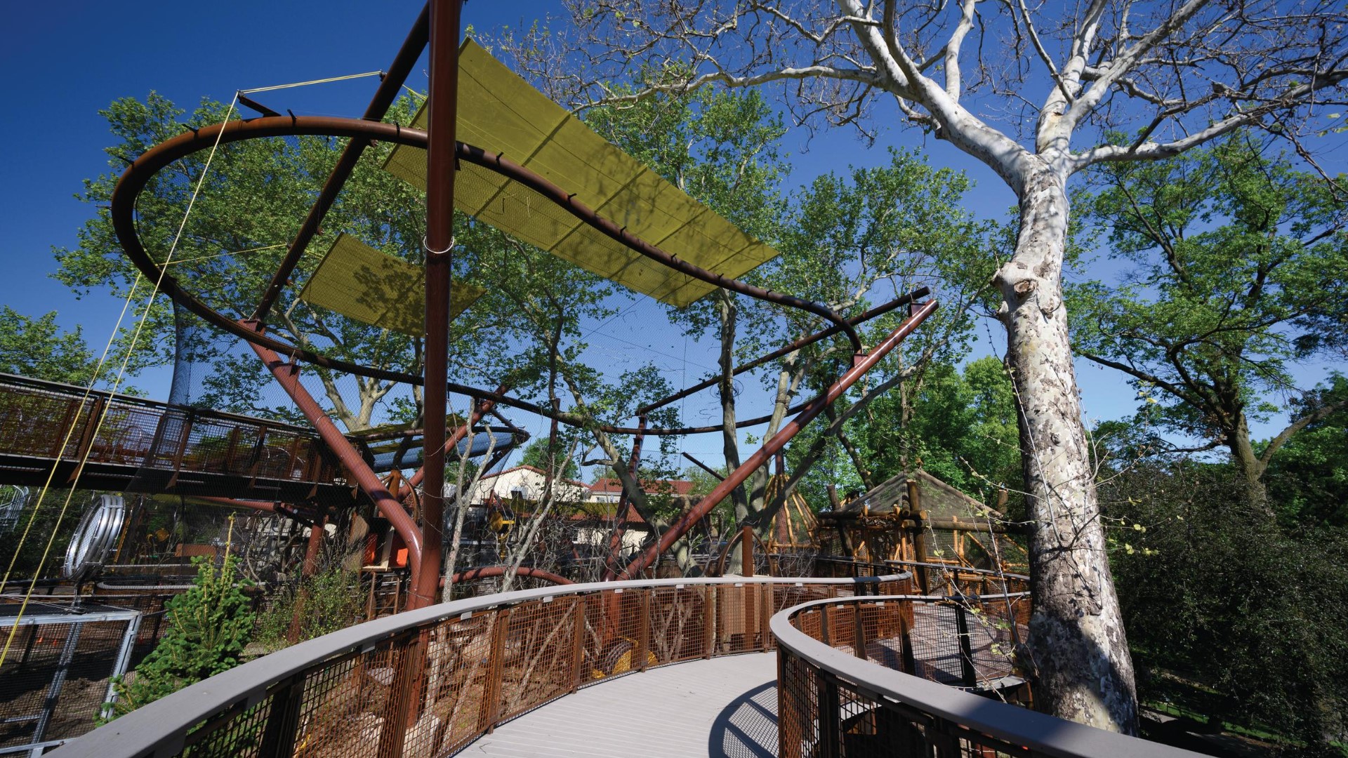 Saint Louis Zoo's new primate exhibit is like a treehouse for all