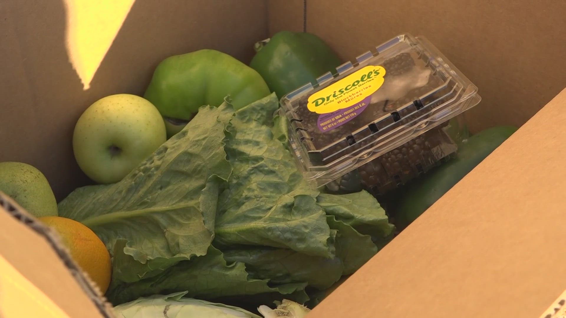 St. Louis County Library brings back 'fresh produce Wednesdays