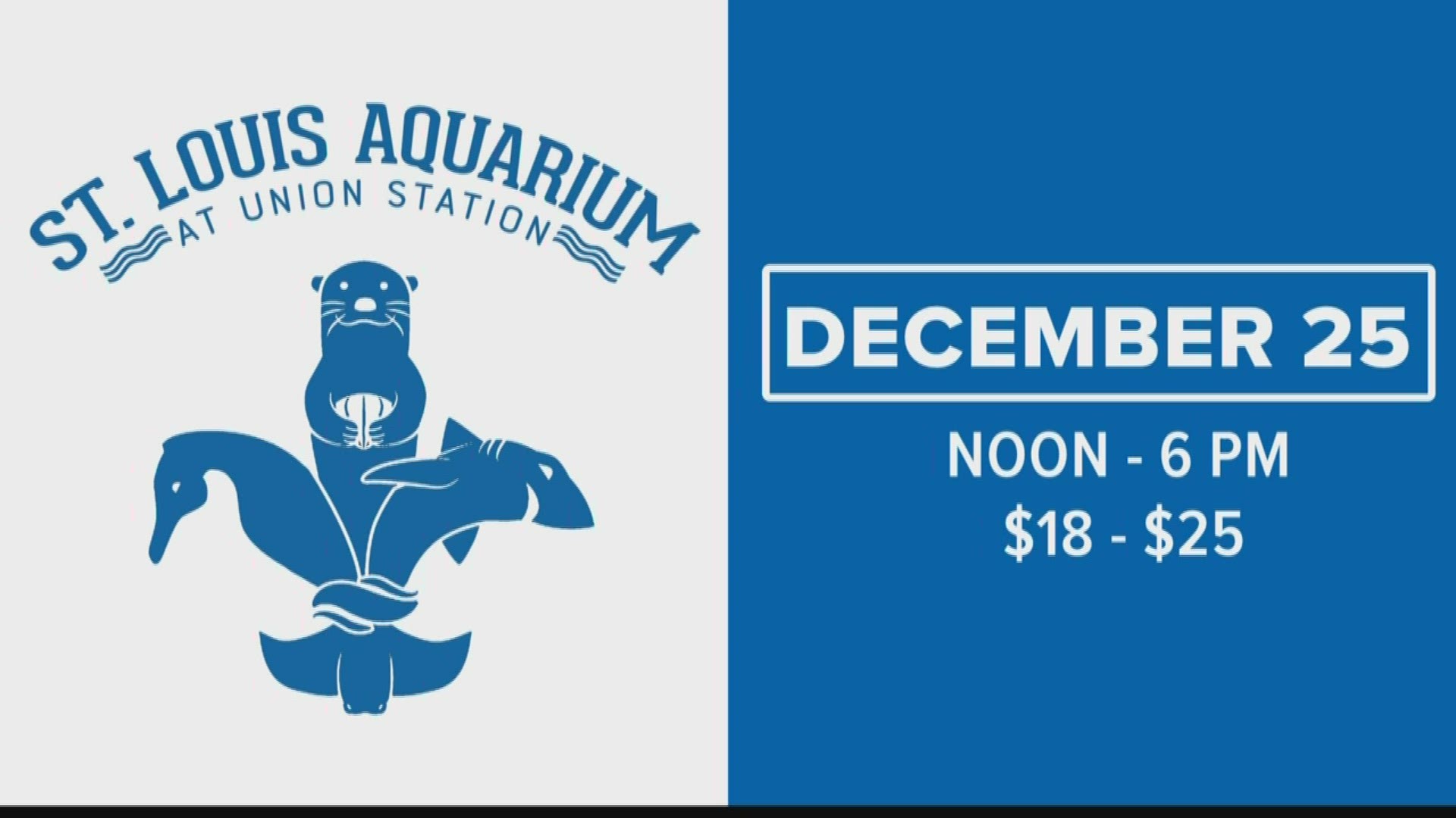 The hours the aquarium will be open on Christmas will be from noon to 6 p.m.