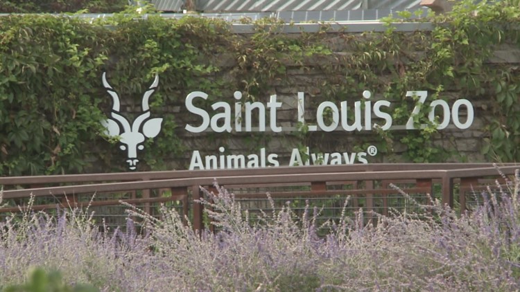 Want a wild job? The Saint Louis Zoo is hiring | 0
