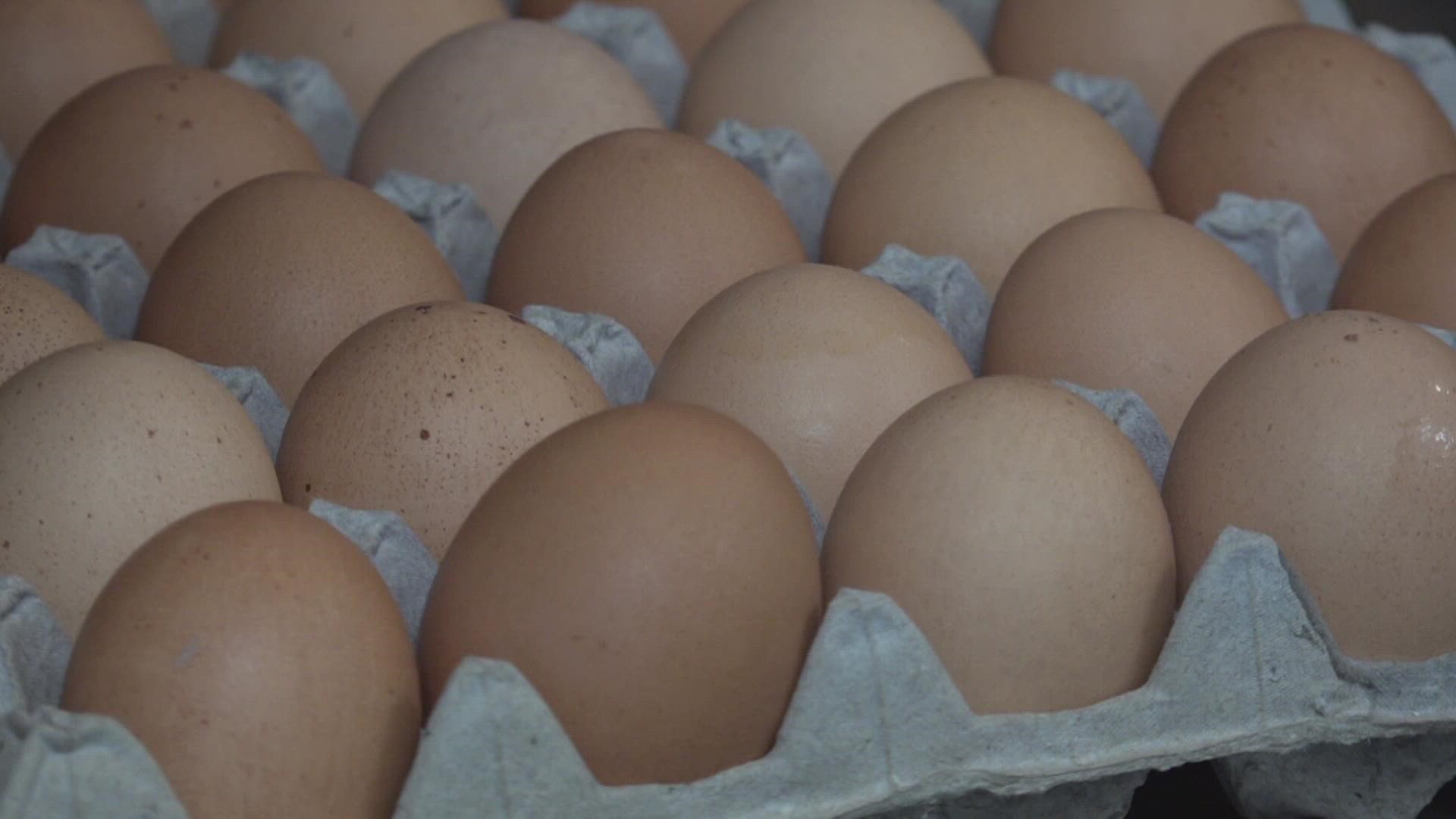 "Eggs are not something we can live without," Herbie's and Kingside Diner Owner Aaron Teitelbaum told 5 On Your Side.