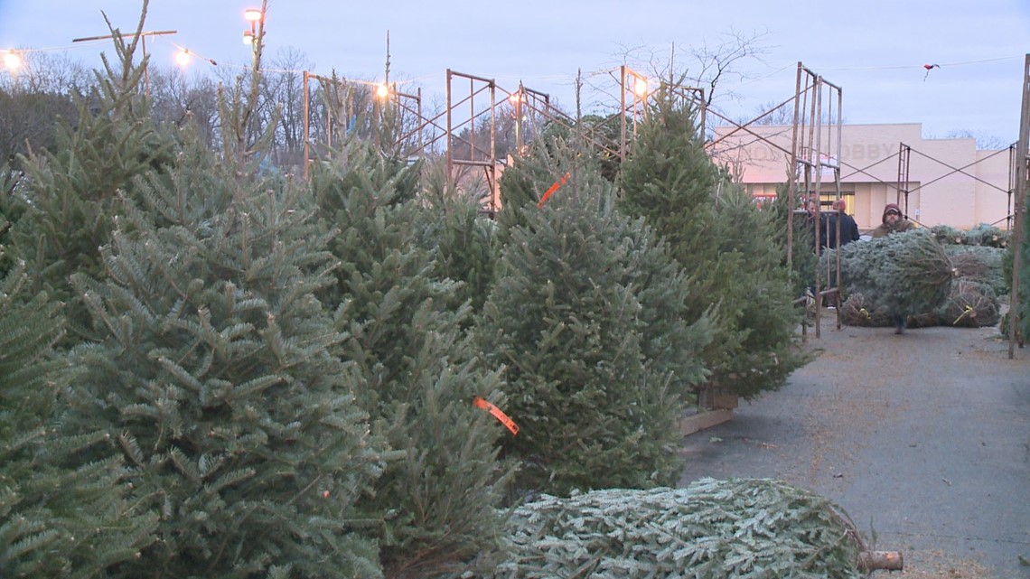 Christmas tree shortage