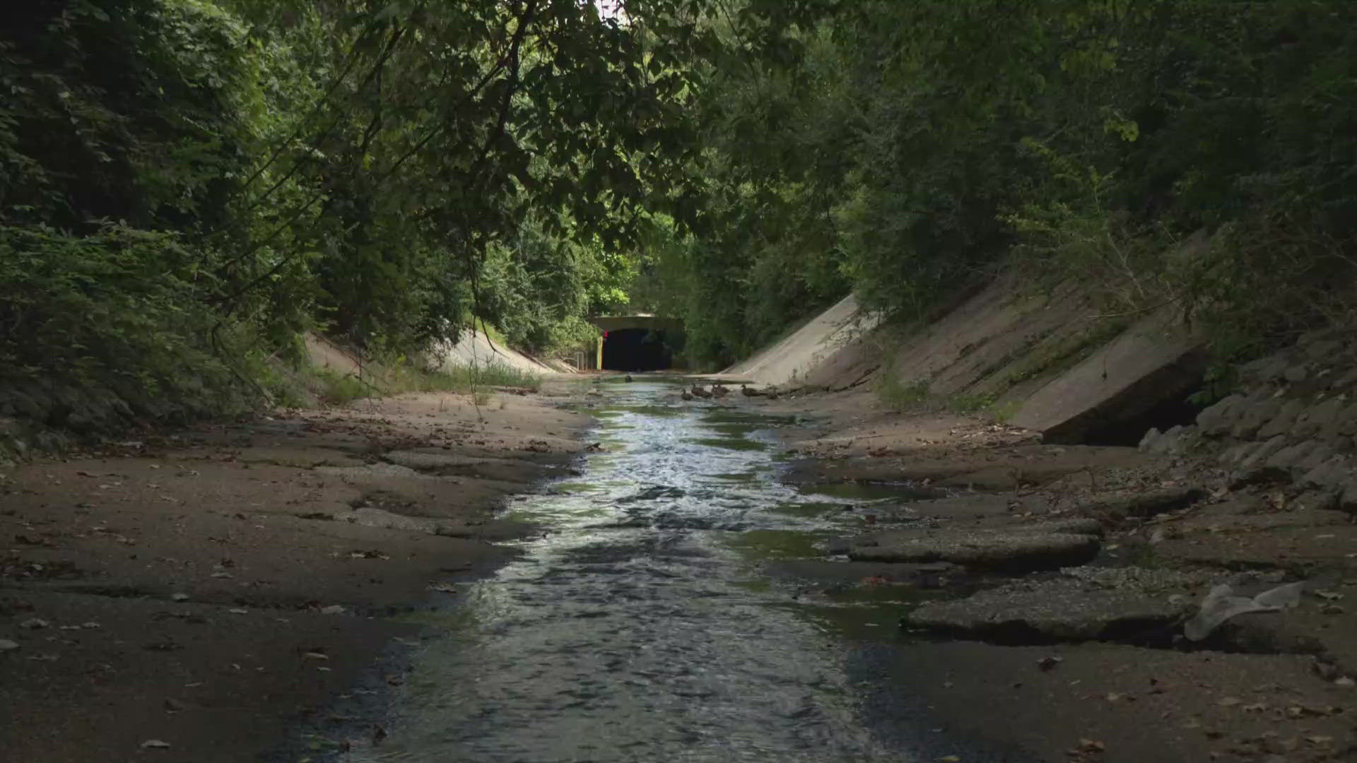 What's been buried under Forest Park for 100 years in an attempt to keep people safe