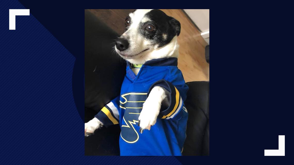 After 8 seasons, your St. Louis Blues have won the Stanley Cup in the  48-team expansion league! : r/EANHLfranchise