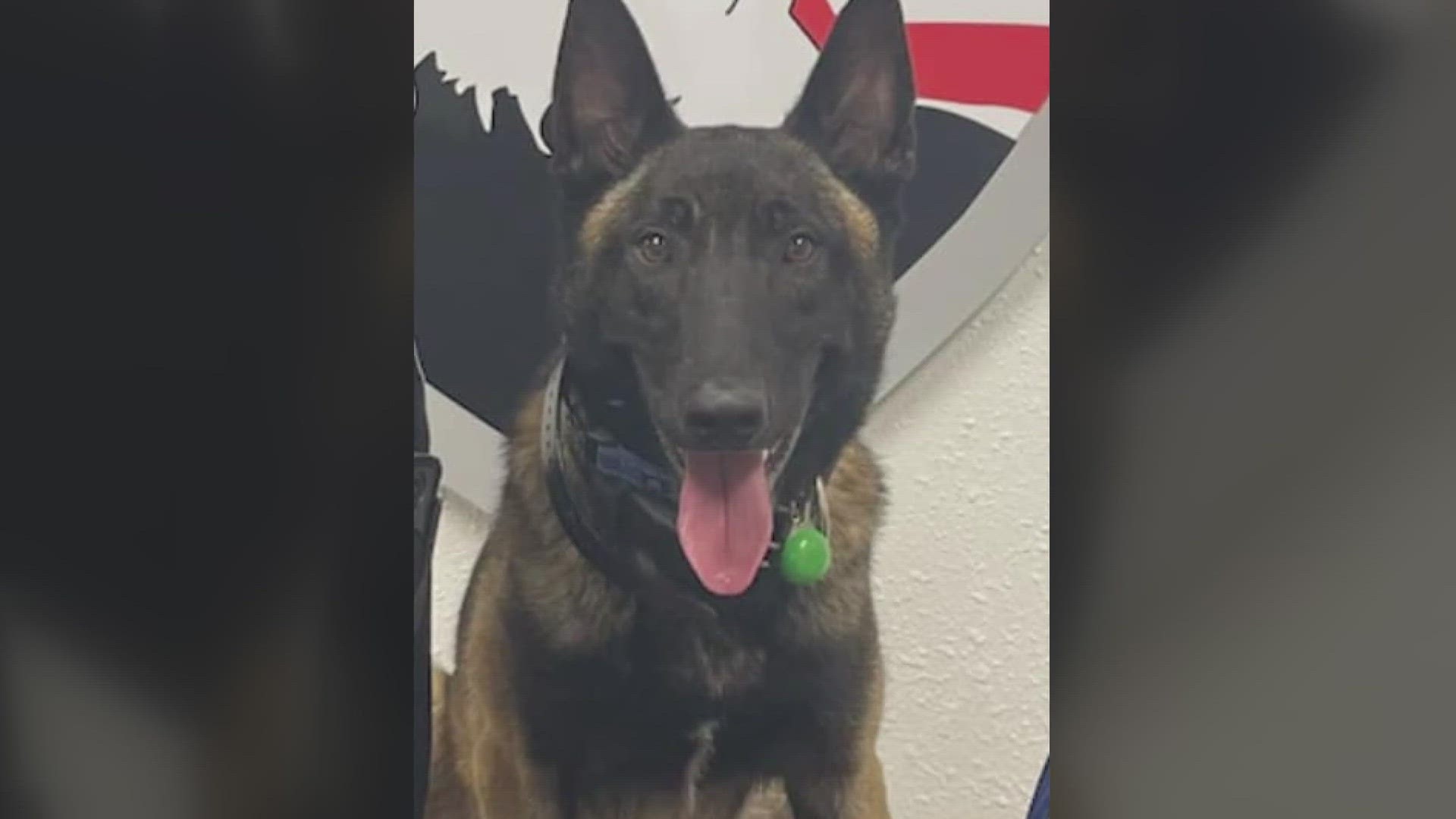People in a central Illinois community are concerned Tuesday night after a K-9 officer died. The officer was on the job for just over a year.