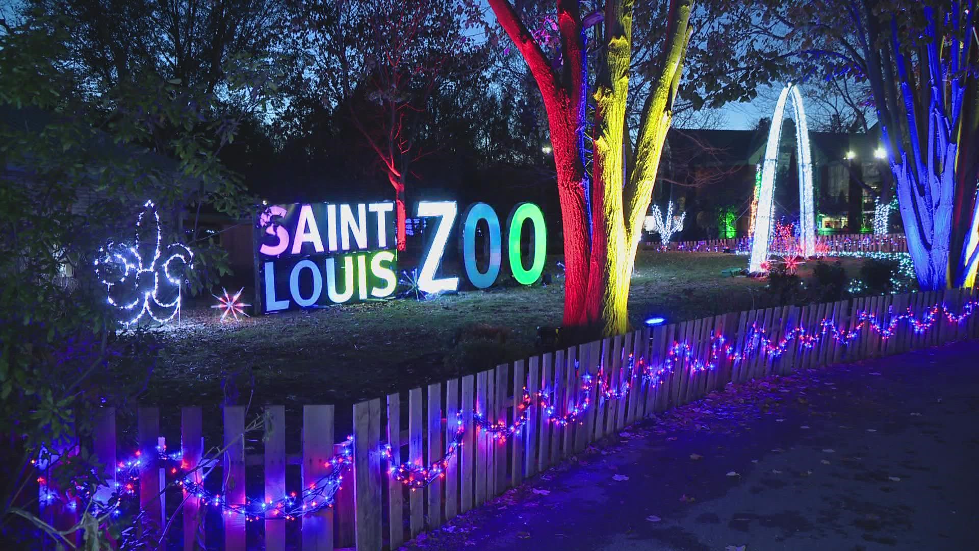 The Wild Lights display is now open at the Saint Louis Zoo. Tickets are available to purchase and the lights are open till Dec. 30.