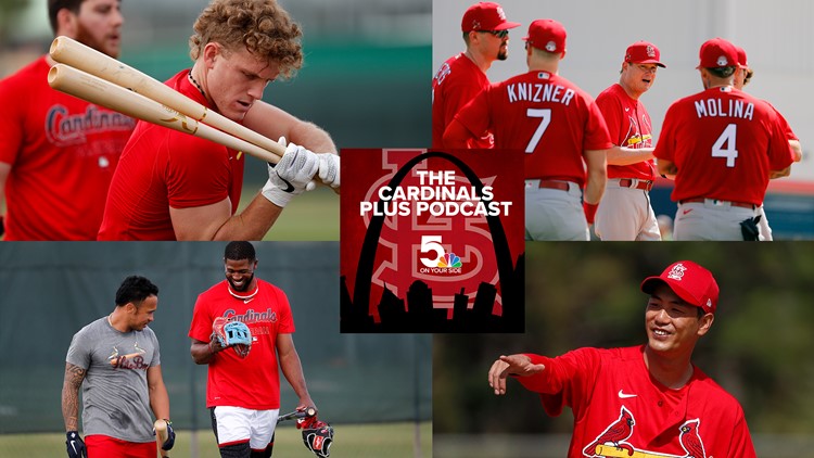 cardinals spring training jersey